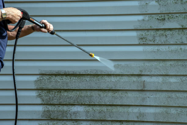 Best Deck Pressure Washing  in Lincolnshire, IL